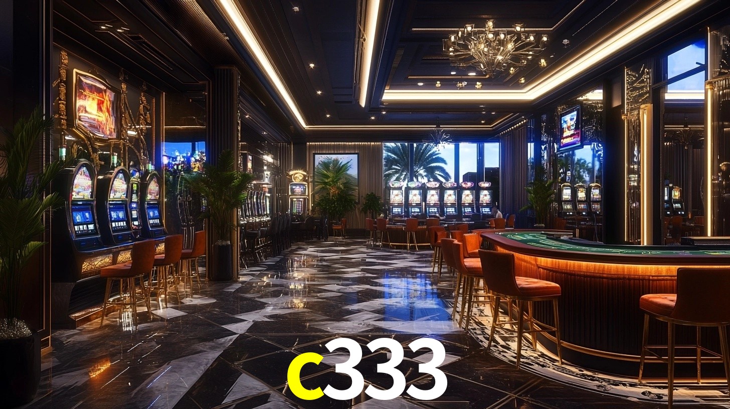 Premium Interface c333
